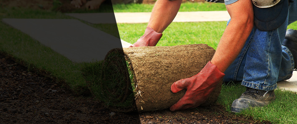 West Suffield Landscapers